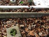 image of grave number 949113